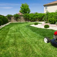 lawn mower on green lawn