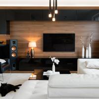 Modern Living Room