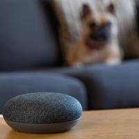 Smart speaker in living room